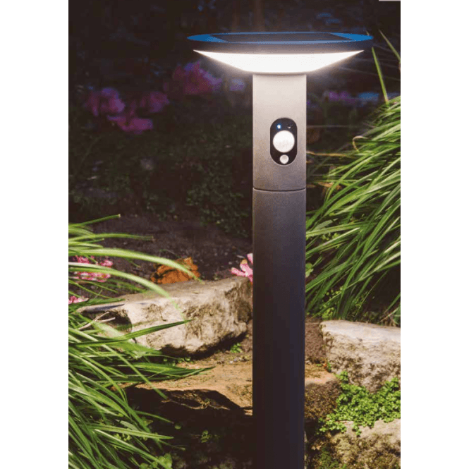 Ansell Talana Bollard Post