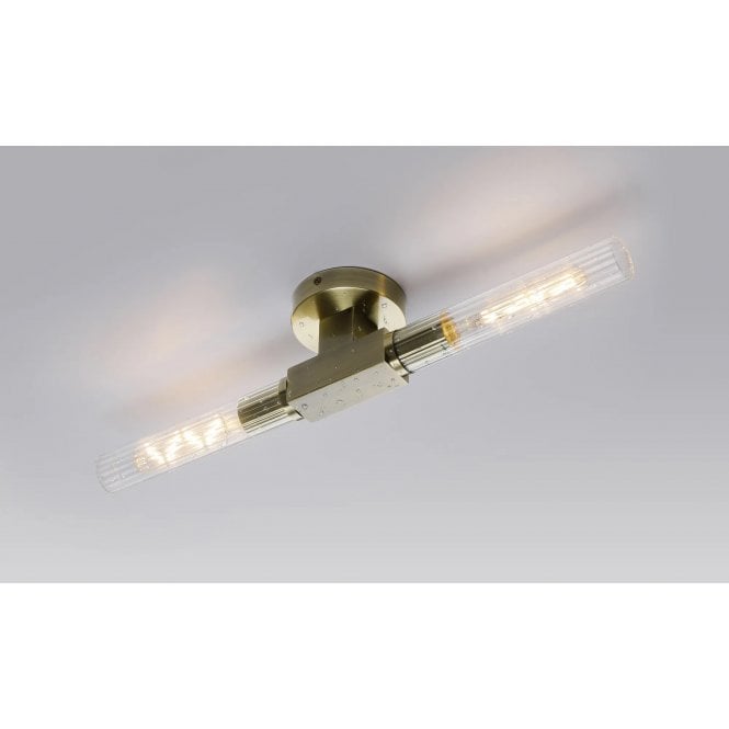 Elate Collection Dee Double Light Wall or Ceiling IP44