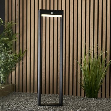 Dannah Bollard