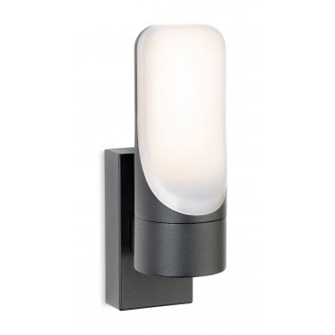Eve LED Graphite Wall Light
