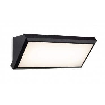 Nitro LED Wall Light